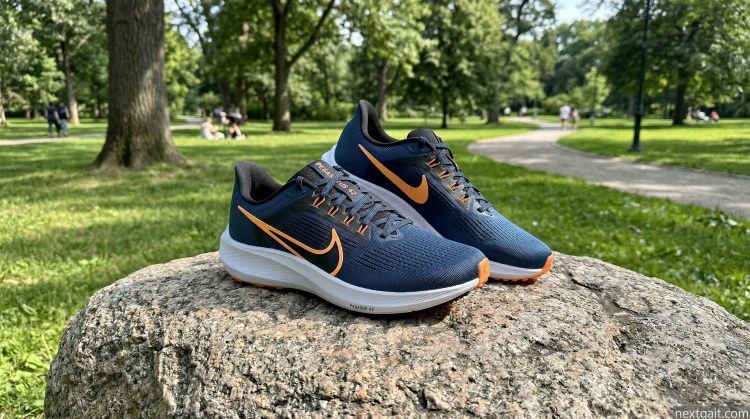 Nike Pegasus 42 mens